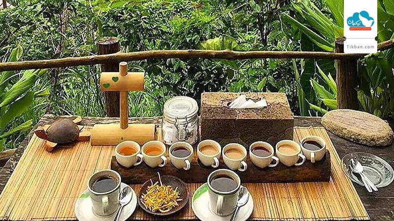 bali_pulina_coffee_tasting_with_view