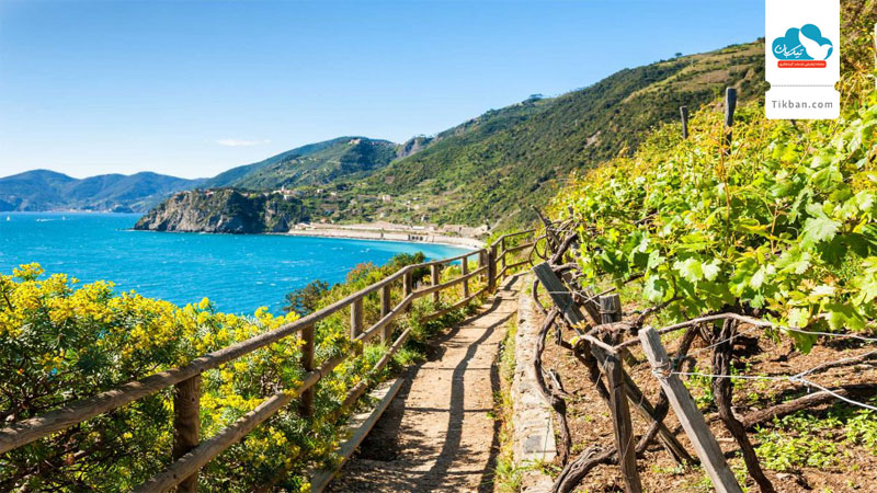 Hiking-&-Walking-in-italyy