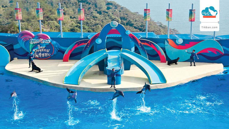 Ocean-Park-honk-kong