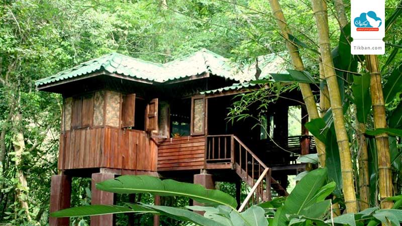 Our_Jungle_House0