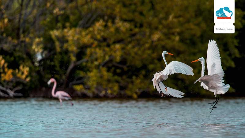Pahranagat-National-Wildlife-Refuge00