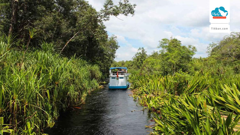 Tanjung-Puting-National-Park