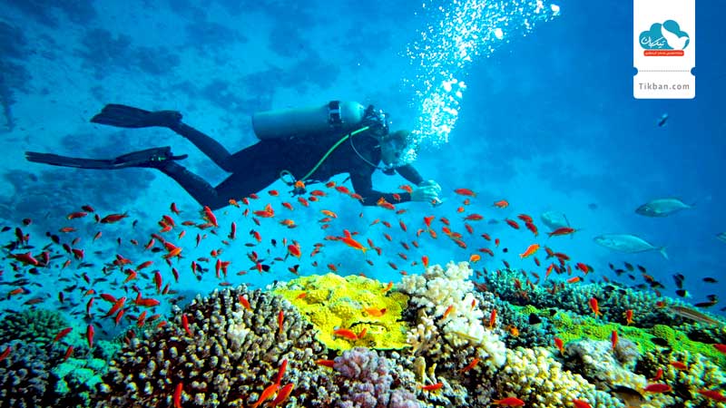 Diving-in-Ko-in-thailand