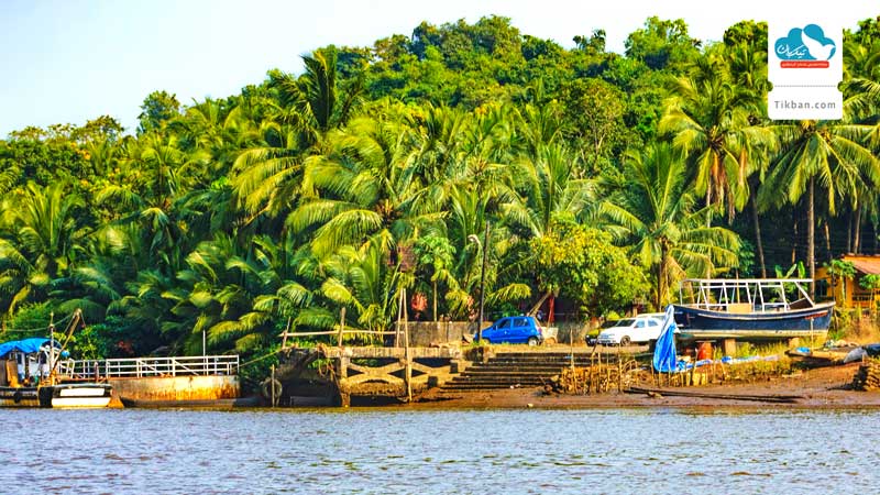 good-jump-off-point-to-the-Butterfly-Island,-Goa,0-India