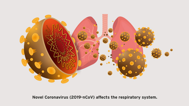 چرا ویروس کرونا به دستگاه تنفسی حمله می کند؟