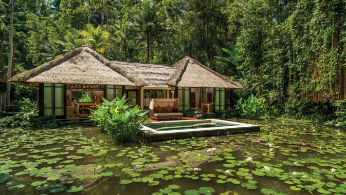 هتل های جنگلی بالی
