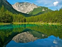 دریاچه سبز اتریش