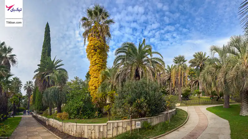 باغ گیاه‌شناسی سوچی (Sochi Arboretum)