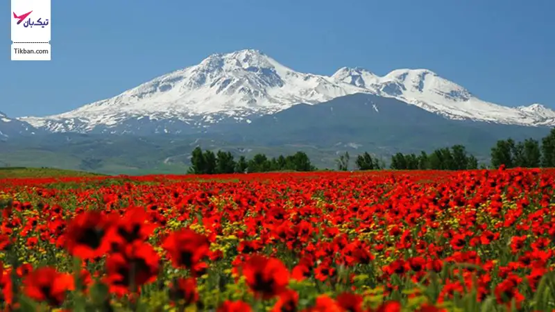 کوه سبلان